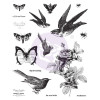 Штампи Prima Wild & Free