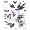 Штампи Prima Wild & Free