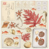 Набір паперу 30*30см 49 And Market Vintage Artistry Shore 4/Pkg