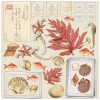Набір паперу 30*30см 49 And Market Vintage Artistry Shore 4/Pkg