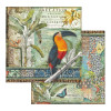 Набір паперу 30*30см Stamperia Amazonia 10/Pkg