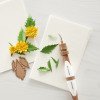 Набір інструментів Spellbinders Susan's Garden Ultimate Tool Kit