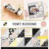 Набір паперу 30*30см DCWV Honey Blossoms 36/Pkg