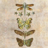  Молд Prima Insecta & Stars 130*250*8мм