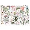 Трансфер Prima Decor Transfer Botanical Paradise