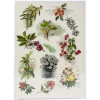 Трансфер Dress My Craft Transfer Me Sheet A4 Flowers All Around