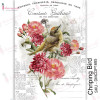Трансфер Dress My Craft Transfer Me Sheet A4 Chirping Bird
