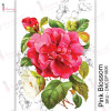 Трансфер Dress My Craft Transfer Me Sheet A4 Pink Blossom