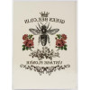 Трансфер Dress My Craft Transfer Me Sheet A4 Queen Bee