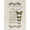 Трансфер Dress My Craft Transfer Me Sheet A4 Cluster of Butterflies