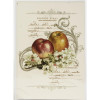 Трансфер Dress My Craft Transfer Me Sheet A4 Flowery Fruits