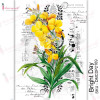 Трансфер Dress My Craft Transfer Me Sheet A4 Bright Day