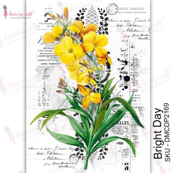 Трансфер Dress My Craft Transfer Me Sheet A4 Bright Day