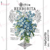 Трансфер Dress My Craft Transfer Me Sheet A4 Herborita
