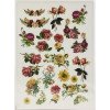 Трансфер Dress My Craft Transfer Me Sheet A4 Roses
