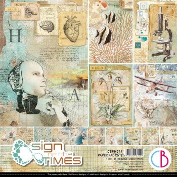 Набір паперу 30*30см Ciao Bella Paper Pack 90lb Sign Of The Times 12/Pkg